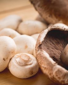 Mushrooms add important nutrients when included  in the typical diet  當蘑菇加入典型飲食中時，蘑菇會添加重要的營養素